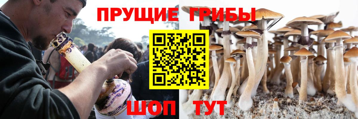 Псилоцибиновые грибы MAGIC MUSHROOMS Нефтекумск