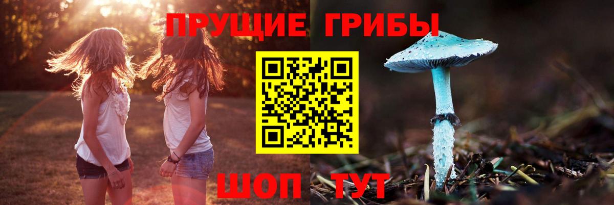Псилоцибиновые грибы Magic Shrooms  Вход с VPN  Галлюциногенные грибы прущие грибы  Нефтекумск 